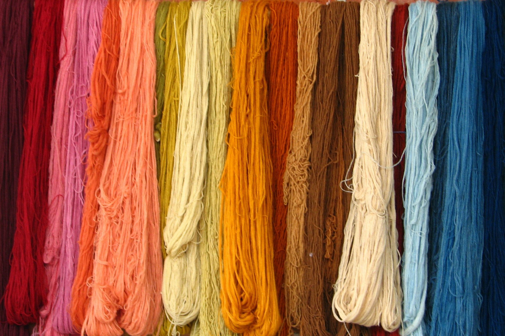 multi-colored-laces-1571577